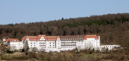 Merlin am Zauberberg